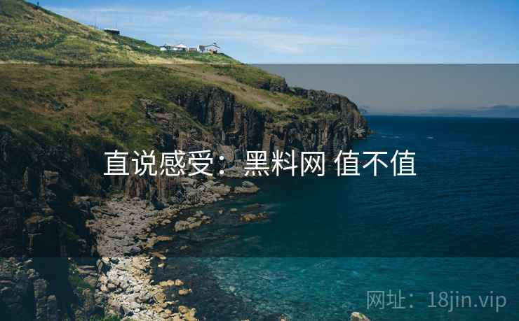 直说感受：黑料网 值不值