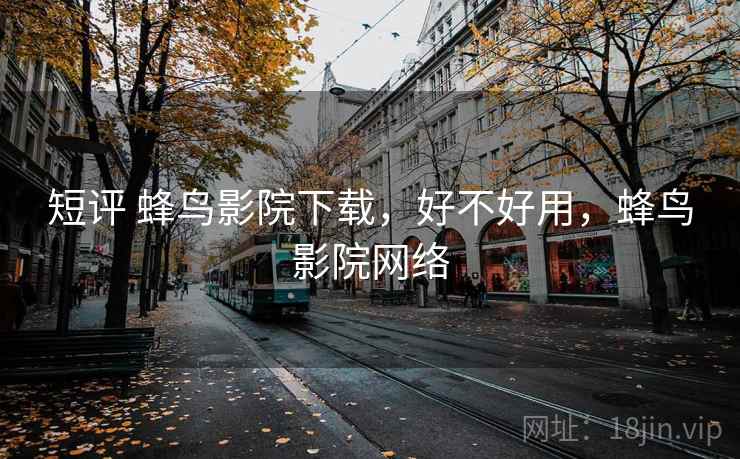 短评 蜂鸟影院下载，好不好用，蜂鸟影院网络  第2张